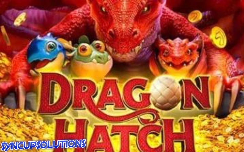 dragon hatch