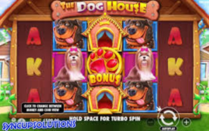 the dog house 
